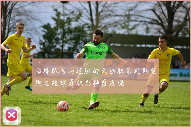 黄蜂队与七连胜的久违联系近期重燃各路球员状态神勇表现