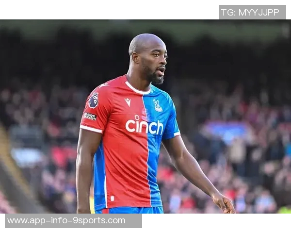 前水晶宫老板遭9700万美元索赔多家俱乐部集团陷入财务危机 前水晶宫老板遭9700万美元索赔多家俱乐部集团陷入财务危机